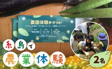 【ふるさと納税】糸島で農業体験(2名) 栽培期間中農薬不使用 無化学肥料 無除草剤の畑で野菜のお世話体験！ [AAL002]