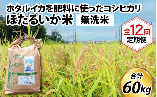 【訳あり】ほたるいか米（無洗米５kg）×12回 計60kg【12ヶ月定期便】