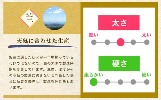 たなかのうどん国産小麦100％ 1.6kg(200g×8束) タナカ製麵所 岡山県浅口市 岡山県 浅口市《30日以内に出荷予定(土日祝除く)》小麦粉（国産）食塩/トレハロース うどん 麺 送料無料---124_692_30d_24_10000_1600g---