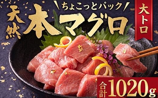 天然本まぐろ 大トロ 切落し お手軽 ちょこっとパック 60g×17パック 1020g 食べきり 切り落とし 刺し身 魚介類 海鮮 魚 海産物 魚貝 マグロ 鮪 小分け 大とろ 簡単解凍 調理 惣菜 父の日 訳あり 規格外 不揃い 冷凍 ふるさと納税まぐろ ふるさと納税鮪 まぐろ大とろ まぐろとろ 高知県 室戸市