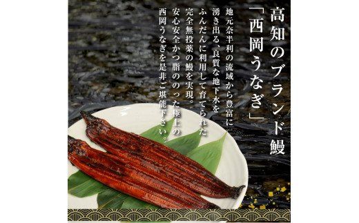 【CF-R7hbk】t120kgp　《3ヵ月定期便》人気惣菜 本気の高知ブランド鰻「西岡うなぎ」～特上（特大サイズ）～うなぎの蒲焼き2尾セット（約400g）タレ・山椒付き｜ウナギ 国産 特産品 鰻の蒲焼き 高知県産 土佐 グルメ 蒲焼 焼きたて 丼 うな重 ひつまぶし〈田野町共通返礼品〉