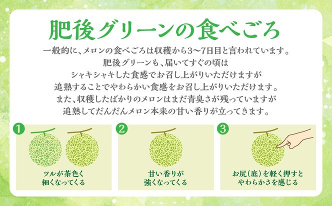 肥後グリーン 2玉 4L以上（合計4kg以上）メロン 果物 果実 くだもの フルーツ 熊本県 八代市