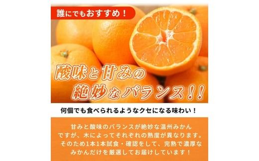 【先行予約】【家庭用 訳あり】紀州有田産 濃厚完熟 温州みかん 2kg ※2026年11月下旬～2027年1月下旬頃に順次発送予定 / みかん ミカン 蜜柑 温州みかん 柑橘 フルーツ 果物 くだもの 和歌山【uot836】