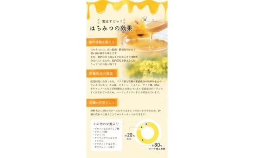 希少ハチミツ 南紀熊野蜜 400g（200g×2個） / 古座川流域で採取した日本みつばちのはちみつ 南紀熊野蜜B はちみつ 国産 日本ミツバチ 【tkd201】