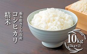 令和7年度　栃木県さくら市産コシヒカリ 精米10kg（5kg×2）｜米　白米　コメ　こめ　こしひかり　菜っ葉館※2025年10月中旬頃から順次発送予定