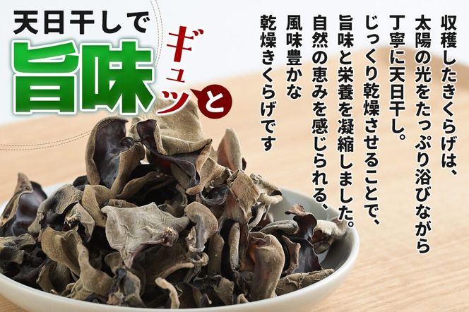 国産 乾燥きくらげ 100g 天日干し 秋田県北秋田市産 [きくらげ 木耳 キクラゲ 乾燥 手のひらサイズ 秋田県 北秋田市]|grmy-020201