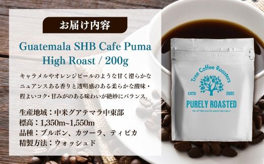 【完全受注焙煎】Tree Coffee Roasters「グアテマラ エスエイチビー カフェピューマ ハイロースト」 200g - コーヒー 豆 こだわり 自家焙煎 コーヒー豆 熱風式焙煎 本格 贈り物 おすすめ 人気 沖縄県 八重瀬町