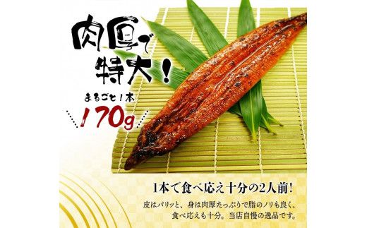 大型サイズ　ふっくら柔らか国産うなぎ蒲焼き ３尾 うなぎ 国産 特大【uot303A-3】