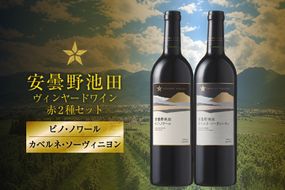 赤ワイン セット サッポログランポレール 安曇野池田ヴィンヤードワイン 赤2種セット 750ml 計2本 [ナチュラルマルシェ ソヨソヨ 長野県 池田町 48110928] 酒 お酒 アルコール 赤 赤ワイン 国産 あるこーる ぶどう 特別 フルボディ ミディアムボディ 料理 セット