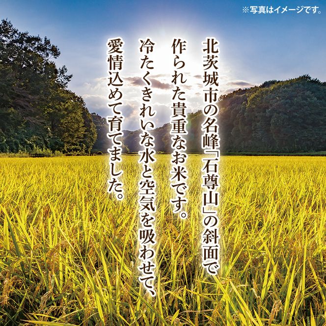 【数量限定】石尊米 3ｋｇ【お米 米 コメ 石尊山 真空パック こしひかり 北茨城市 茨城県】(CV001)