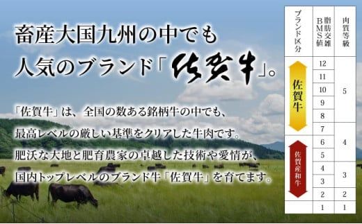 【佐賀牛】ハンバーグ 100g×10個 国産 黒毛和牛 ハンバーグ 小分け 冷凍 使いやすい  ブランド牛 お弁当 ごちそう パーティ グルメ お取り寄せ