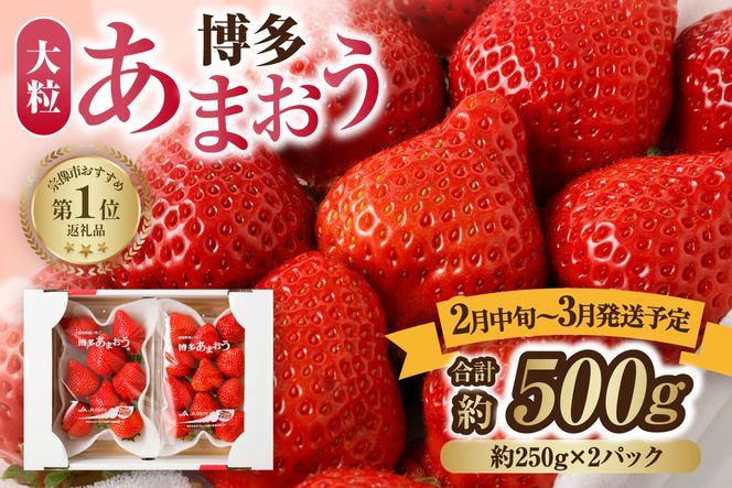 【先行予約】【アフター保証】 大粒セレクト！大人気のあまおう 約250g×2パック【2月中旬～3月発送】【JAほたるの里】_HA0277