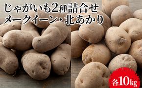 【先行予約】じゃがいも2種詰合せ（メークイン10kg・北あかり10kg）【十勝幕別 北海道ホープランド農場】 野菜 セット 