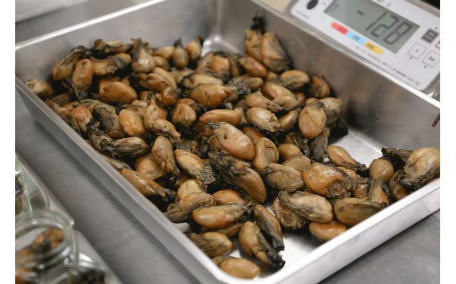 牡蠣 の 燻製 オリーブ オイル漬 アヒージョ 牡蠣味噌 佃煮 生姜 のセット [ディナーライン] 惣菜 瓶詰め [№5735-0403]