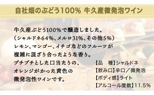 恵野果 牛久ペティヤン 2024 茨城県産 牛久醸造場 日本ワイン ワイン お酒 贈り物 上品 果実 クリスマス 誕生日 微発泡 スパークリング シャルドネ フルーティ 辛口 ライトボディ