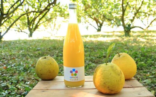 訳あり 愛南ゴールド5kgと愛南ゴールドジュース 720ml1本のセット みかん 蜜柑 河内晩柑 愛南ゴールド 果物 フルーツ 果汁 無添加 ジュース ゼリー アイス 柑橘 かんきつ 果汁 100% 国産 愛媛県 愛南町青果市場 発送：4月～(なくなり次第終了)