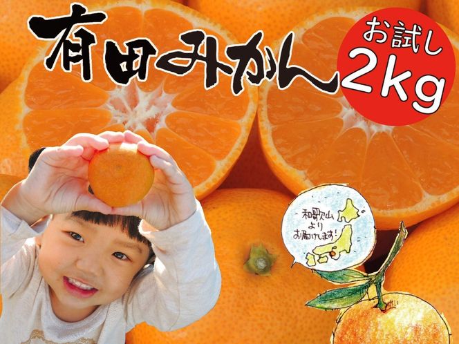 ya̎RLc쒬zmst2025N11`nNEW ͂߂܂ Lc݂   2kg a̎RY / ORYYRY TCY ORYY ms\n  BA41