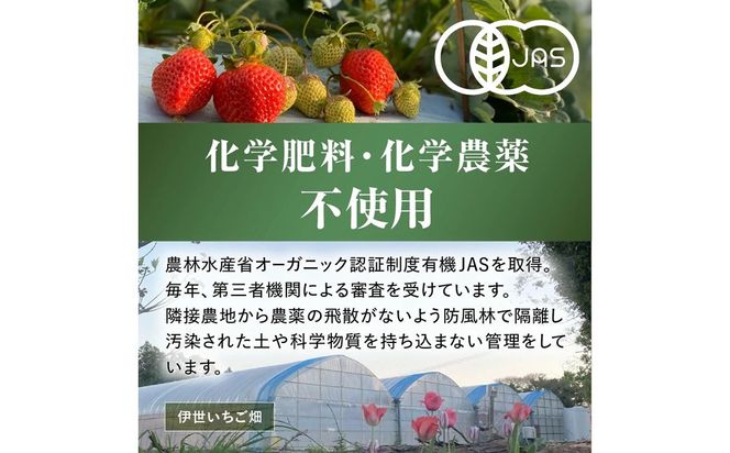 【先行予約】オーガニックあまおう「いせいちご」2パック(280g×2)【伊世いちご畑】_HA1116
