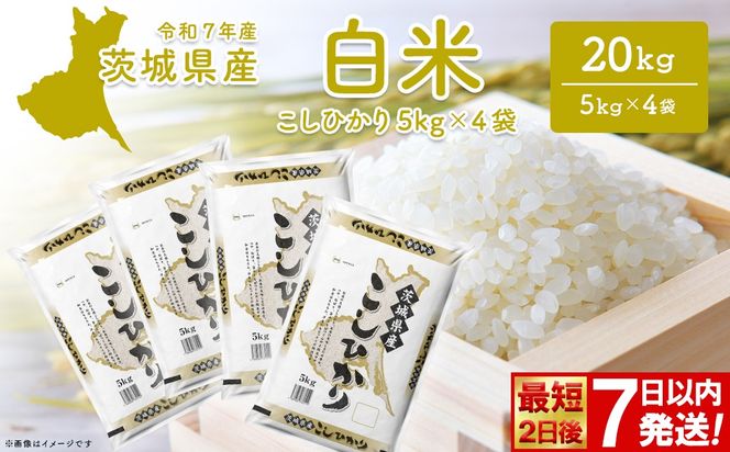 こしひかり 20kg (5kg×4袋) 最短2日後発送【令和7年産/白米】茨城県産 米 小分け 2025年産 スピード便 コシヒカリ K2704