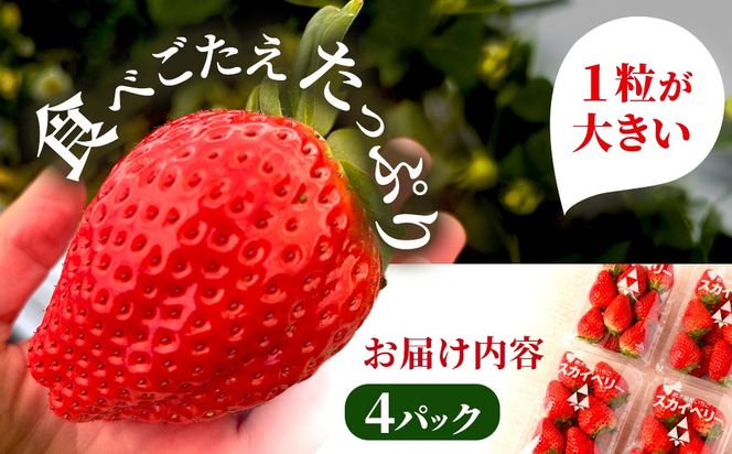 【先行予約】出会いの森いちご園 スカイベリー （290g×4パック） | いちご イチゴ 苺 栃木県 果物 くだもの フルーツ スカイベリー 新鮮 贈答 ギフト デザート スイーツ ※離島への配送不可 ※2026年12月上旬頃から2027年3月下旬頃に順次発送予定