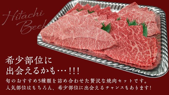 【常陸牛】焼肉セット 800g (400g×2パック） (茨城県共通返礼品) 国産 牛肉 肉 お肉 焼き肉 バーベキュー BBQ カメノコ サンカクバラ ミスジ イチボ ササミ ザブトン シンシン カイノミ ボンジョー タテバラ 三角バラ サイコロステーキ サーロイン リブロース ランプ ウワミスジ ヒレ