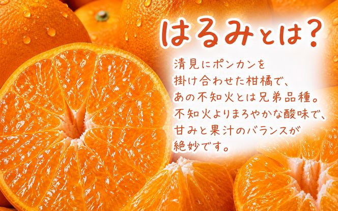 果肉ぷりぷり! 完熟はるみ 約5kg　※2027年1月下旬頃～2027年2月上旬頃に順次発送予定(お届け日指定不可) 【uot732】