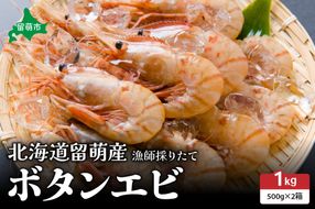 【漁師採りたて　留萌産】ボタンエビ　500ｇ×2　R006-019