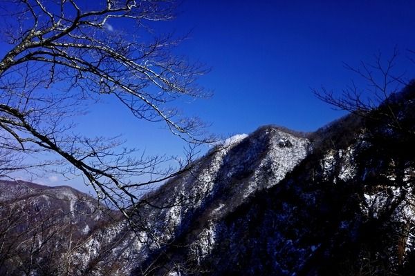 デジタル一眼カメラα[Eマウント]用レンズ　E 20mm F2.8 | ソニー カメラ レンズ 一眼 交換レンズ 広角