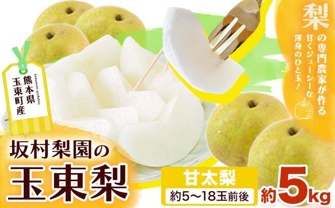 梨 なし 甘太梨 約5kg(5～18玉前後) 坂村梨園 《8月中旬-11月上旬頃出荷》熊本県 玉東町 秋 旬 梨 フルーツ 果物 期間限定---gkt_skmr_3_5kg---