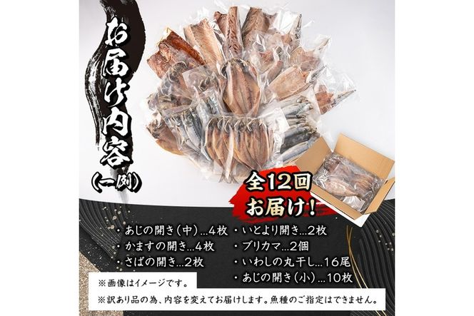 ＜定期便・全12回 (毎月)＞訳あり 干物大満足BOX (40尾以上) 定期便 簡単 調理 干物 あじ かます さば いわし みりん干し 丸干し 開き 魚 海鮮 冷凍 詰め合わせ セット 大分県 佐伯市【AQ91】【(株)やまろ渡邉】