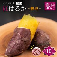 ★訳あり★【2026年1月より順次発送】【訳あり】農産物直売所「やさいの声」熟成紅はるか　洗い　約10kg|さつまいも サツマイモ 紅はるか 熟成 洗い 行方市 ふるさと納税(EK-13)