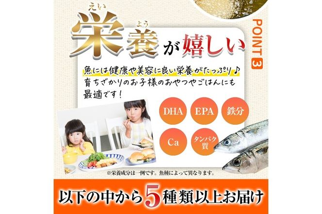 ＜訳あり＞ ひもの屋さんの魚 フライ セット (5種類以上・合計8袋) 鯖 さば 鯛 たい 鯵 あじ 鰤 ぶりきびなご かます アイゴ シイラ ヘダイ ニベ 国産 揚げ物 冷凍 魚 おかず 惣菜 お弁当 揚げるだけ 小分け 詰め合わせ 食べ比べ 【DL28】【鶴見食賓館】