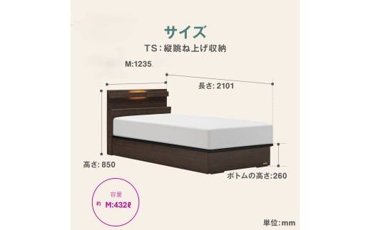 フランスベッド ファディア FAD-C1 TS（縦跳ね上げ収納260mm） M セミダブル