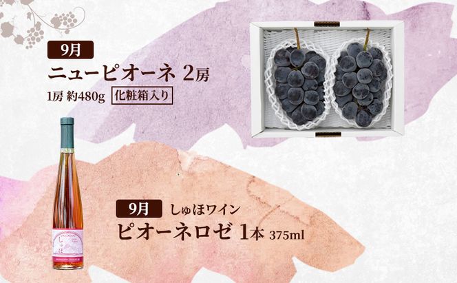 定期便 2026年 先行予約 岡山の人気果物 ドイツの森の人気商品とクラフトビール 是里ワイナリーのワイン 欲張りセット3回コース ソーセージ 加工品 クラフト ビール ワイン 白桃 桃 ぶどう ピオーネ 赤磐市