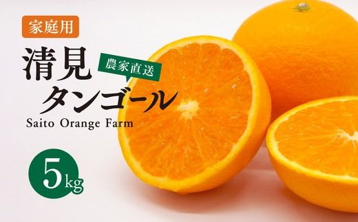 [先行予約]Saito Orange Farmの家庭用清見タンゴール5kg | 柑橘 みかん ミカン フルーツ 果物 愛媛 ※離島への配送不可 ※2025年3月下旬頃より順次発送予定