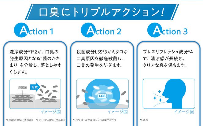 【定期便 毎月 3か月】LION ハミガキセット 142069_CR004