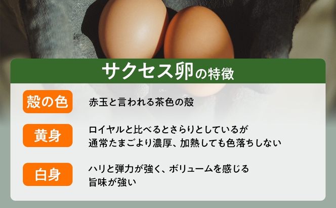 【天王原のたまご】サクセス卵30個/ロイヤル卵30個