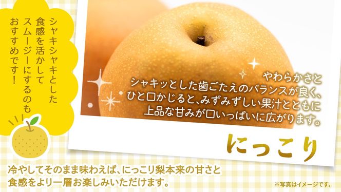 ＼ 選べる内容量 ／ にっこり 梨 約3kg / 約5kg / 約10kg 【2026年10月より発送開始】（茨城県共通返礼品 [梨]：大子町産） なし 旬 お取り寄せ フルーツ 甘い ジューシー 和梨 時期