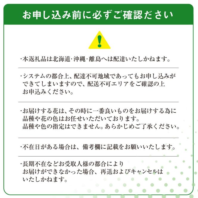 【先行予約】【2026年11月より順次発送】6代続く花農家より直送! 石井農園の「季節の花束」SMCM001