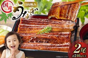 うなぎ 国産 日向極み うなぎ蒲焼 2尾 計240g以上 【たれ・山椒付き】 [日向サンパーク 宮崎県 日向市 452061502] ギフト 小分け 真空パック 鰻 ウナギ うなぎの蒲焼 蒲焼 蒲焼き