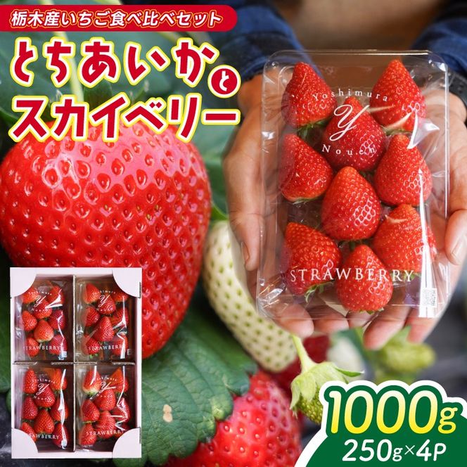 【2026年1月発送開始】【先行予約】合計1,000g 栃木県産 いちご食べ比べセット 甘くて可愛い「とちあいか」× 大粒高級「スカイベリー」 | 栃木県 ふるさと納税 いちご イチゴ 苺 果物 フルーツ とちあいか ご褒美 ハート型 熟成 スカイベリー 大粒いちご セット 食べ比べ こだわり (DS003)