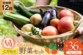野菜 セット OGAWA'N 野菜セット 定期便 12回 [JA埼玉中央 埼玉県 小川町 138] 1年 12ヶ月 連続 やさい 季節野菜 詰め合わせ 食べ比べ 旬 農産物