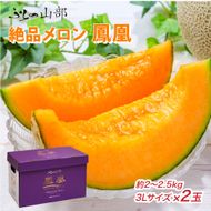 【2026年夏発送】富良野メロン 山部の絶品『鳳凰』3L 2玉 計4kg以上 メロン 赤肉 大玉 北海道