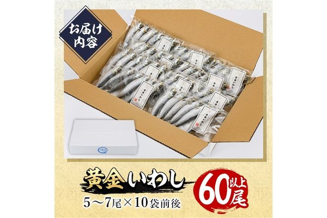 ＜訳あり＞黄金いわし (60尾以上) 黄金 いわし イワシ 丸干し 魚 海鮮 冷凍 おつまみ 小分け【GX002】【(有)マルサン商店】