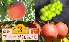 ［3回定期便］ 信州フルーツ3回コース ［小布施屋］ 定期便 先行予約 フルーツ 数量限定 白桃 シャインマスカット ぶどう りんご お楽しみ 3回お届け 長野県産 信州産 令和8年産 【2026年7月～12月発送】
