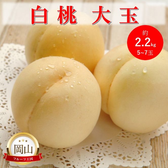 2026年 早期受付 岡山県産 白桃 大玉 (約2.2kg) 5～7玉 桃 もも 果物 フルーツ
