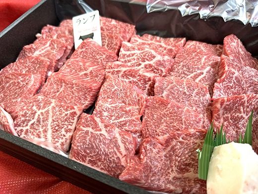 A4A5等級未経産雌牛　特撰近江牛 赤身 焼肉 500g 折箱入り ギフト【FO40SM】