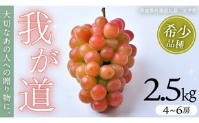 我が道 2.5kg (4～6房)【2026年8月下旬発送開始】(茨城県共通返礼品：大子町) シャインマスカット ウインク 葡萄 ブドウ ぶどう 果物 フルーツ 希少 新品種