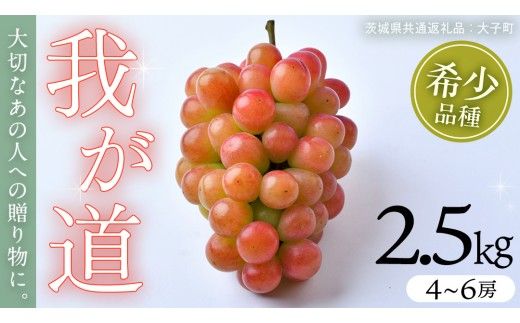 我が道 2.5kg (4～6房)【2026年8月下旬発送開始】(茨城県共通返礼品：大子町) シャインマスカット ウインク 葡萄 ブドウ ぶどう 果物 フルーツ 希少 新品種