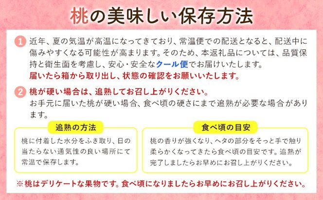【先行予約】和歌山の厳選白桃【白鳳・清水白桃・川中島白桃 等】化粧箱入り 選べる内容量 約750g 約1.5kg 約2kg 約4kg 池田鹿蔵農園《7月上旬-8月中旬頃出荷》和歌山県 日高町 厳選 白桃 和歌山県産 白鳳 清水白桃 川中島白桃 桃 もも 果物 【配送不可地域あり】---wsh_cidn351_7j8c_26_8000_750g---
